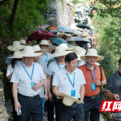 第二届湘西州旅发大会观摩活动走进凤凰 感受文旅融合发展成果