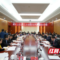 组图丨湘西州十五届人大三次会议各代表团审议政府工作报告 