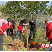 “植”此新绿 湘西联通开展2024年义务植树活动