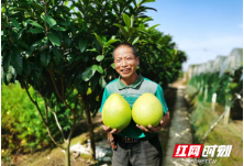 脱贫路上最美笑脸③丨鼎城刘光平：坎坷路上不言弃 脱贫路上果飘香