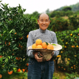 脱贫路上最美笑脸⑦|临澧张可强：脱贫致富“橙”果喜人