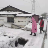 我为群众办实事丨武陵区南坪街道：应对雨雪在行动 不畏隆冬暖人心