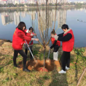 永安街道开展植树活动 做河道保护的践行者