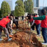 湖南文理学院百名师生义务植树 共建绿色校园