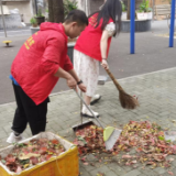 常德职业技术学院土建系开展志愿服务主题党日活动