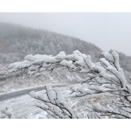 速转发！低温雨雪冰冻安全防范提醒