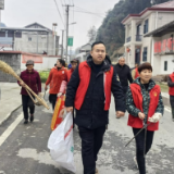 石门县子良镇茶园湾村：党建引领聚合力，清洁行动展新颜