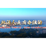 视频丨桃源人是有办法的