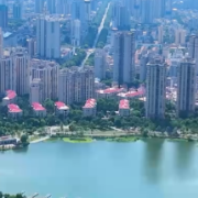 党校老师带您走进故事常德丨一朵花的产业革命