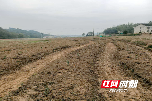 桃花源镇印家铺村“百亩产业扶贫基地”实施现场.png