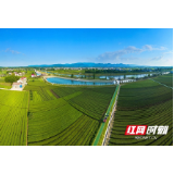 武陵区：秸秆禁烧芷兰在行动