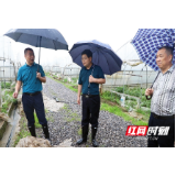 常德西湖管理区：刘爱军深入一线督导当前防汛工作