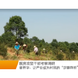 30年坚守！湖南卫视为常德这位村干部点赞