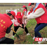 武陵区金丹实验学校党支部开展义务植树活动