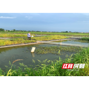 湖南工商大学财政金融学院团队赴鼎城韩公渡开展课题调研