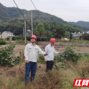 国网石门县供电公司：秋检查隐患 服务保安全