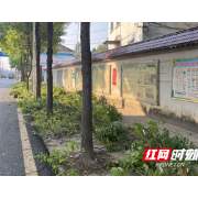 汉寿县洲口镇集中开展乡道周边路障排查和清除行动