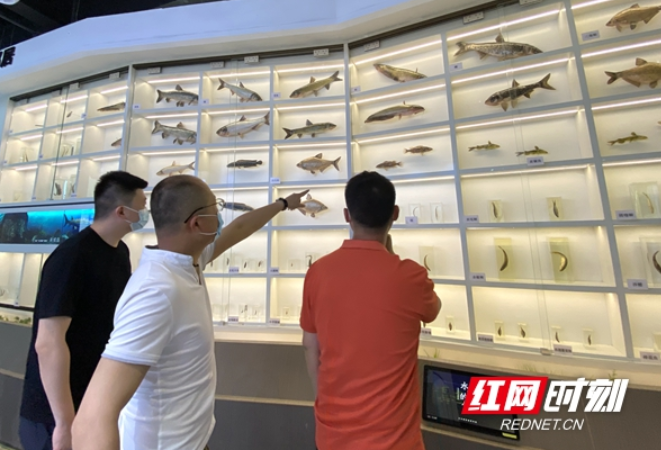 靓图来了！汉寿全面实施“强工稳农、活旅靓城”幸福城市跃然纸上