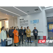 石门县楚江街道组织开展人大代表集中活动