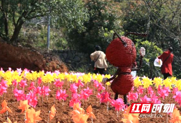 常德柳叶湖首届百变稻草艺术节暨萌宠田园欢乐季开幕