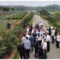 寻道·问策·破局——汉寿县村（社区）党组织书记湘江畔“充电赋能”记