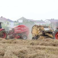 从“一烧了之”到“点草成金” 汉寿县“三七工作法”推动秸秆综合利用水平