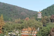 省纪委召开常委会会议 传达学习贯彻党的二十届四中全会精神