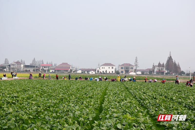 DSC_2571_副本.jpg DSC_2571_副本.jpg