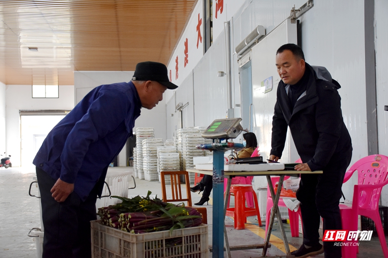 DSC_2616_副本.jpg DSC_2616_副本.jpg