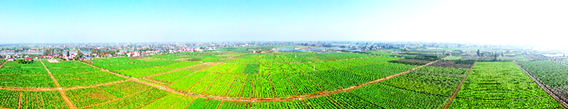 图片2.png 图片2.png