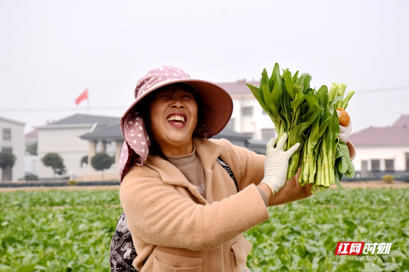 DSC_2534_副本.jpg DSC_2534_副本.jpg