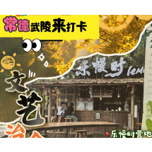 常德武陵来打卡之撒野丨一杯咖啡与一片森林的治愈回响