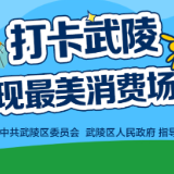 权威发布 | 常德市武陵区2025十大“文旅商”网红打卡点评选方案公布