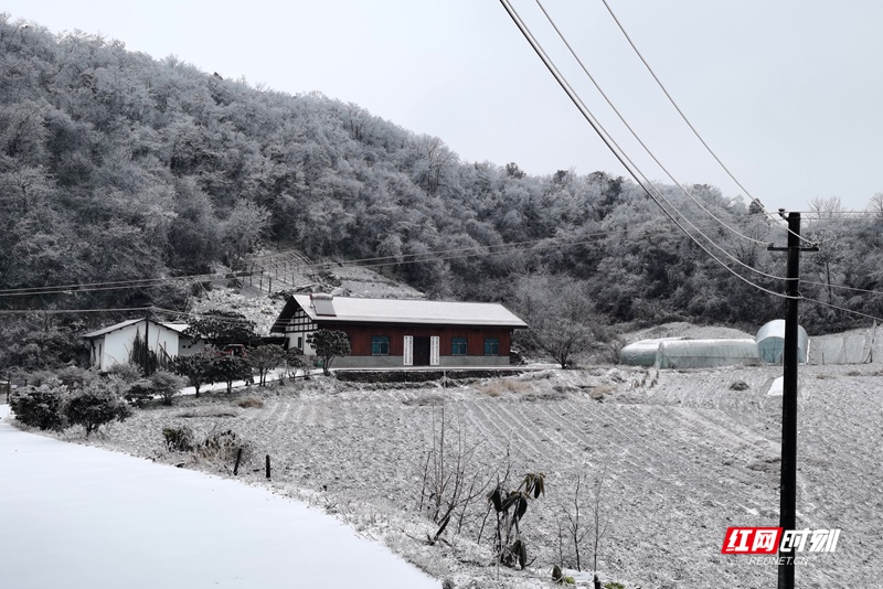 1月20日，石门县迎来降雪，东山峰、壶瓶山等地银装素裹，宛如童话世界。树枝挂满晶莹的冰晶，房屋、农田、大棚披上厚厚的“白棉被”，山野间雾气缭绕，能见度较低。目前降雪仍在持续，提醒大家注意防寒保暖和出行安全，山区道路需谨慎驾驶。