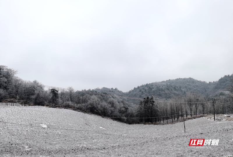 1月20日，石门县迎来降雪，东山峰、壶瓶山等地银装素裹，宛如童话世界。树枝挂满晶莹的冰晶，房屋、农田、大棚披上厚厚的“白棉被”，山野间雾气缭绕，能见度较低。目前降雪仍在持续，提醒大家注意防寒保暖和出行安全，山区道路需谨慎驾驶。