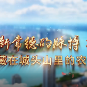 党校老师带您走进故事常德丨藏在城头山里的农耕文明密码