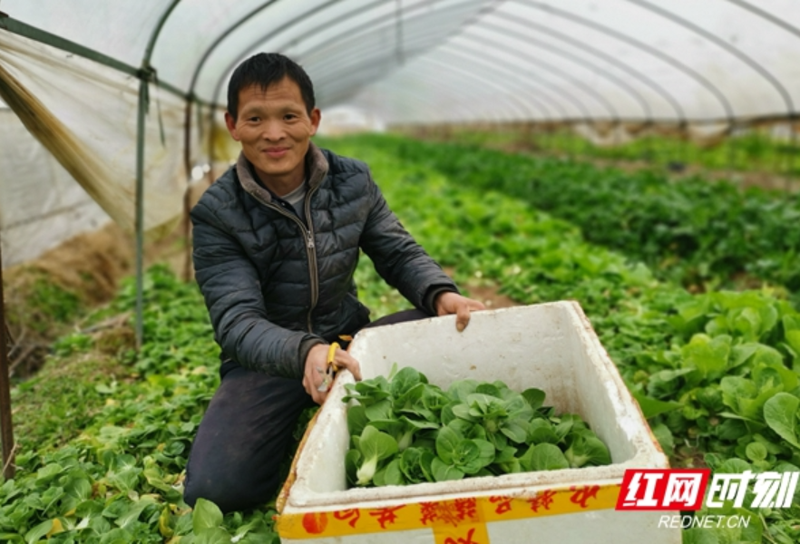 岳阳君山：“敲门行动”敲开老百姓的幸福门