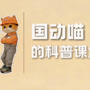 “国动喵”的科普课堂｜全民国家安全教育日，这份“避坑”指南请收好
