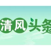 清风头条丨桃源县杨溪桥镇：精准监督为乡村振兴“加把柴”