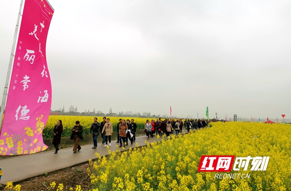 3月16日，2021湖南油菜花节分会场之鼎城区第七届油菜花节在十美堂镇启幕，6万亩油菜花竞相开放，现场游客如织。