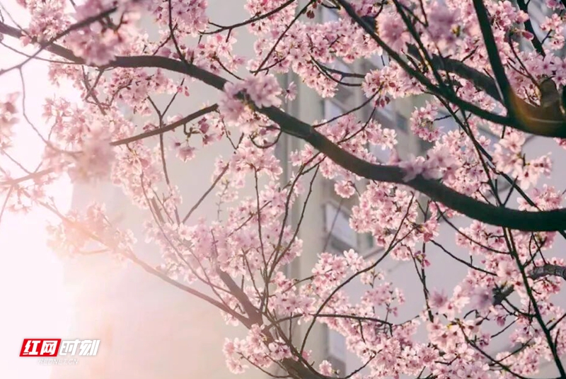 微信图片_2026-03-10_112434_565.jpg 微信图片_2026-03-10_112434_565.jpg