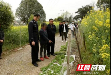常德临澧县一女子非法种植罂粟3000余株 已被刑事立案