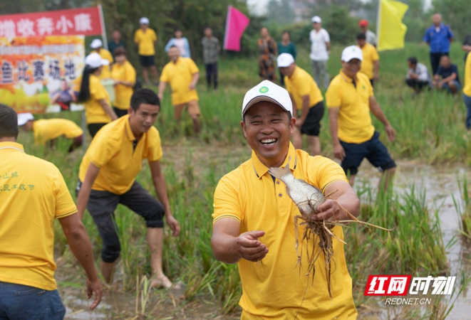 组图丨常德澧县：沅澧大地庆丰收 载歌载舞感党恩