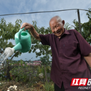 百岁种花人，边城小康“活历史”丨人民路上原住民·湘西篇