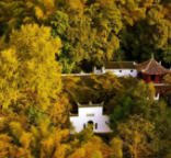 桃花源国有林场荣获“湖南省秀美林场”称号