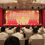 不忘来时路 奋进新征程 常德市鼎城区召开“两优一先”表彰大会