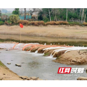 常德鼎城区：打好抗旱组合拳保水保灌为农田“解渴”