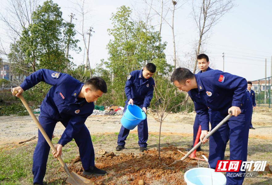 澧县消防救援大队开展“植树节”义务植树活动