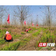 常德市疾控中心组织对贺家山原种场重点地带开展钉螺调查