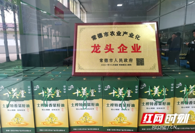 美丽常德 乡建有我丨蔡书劲：当好发展“中间人”为乡村振兴赋能